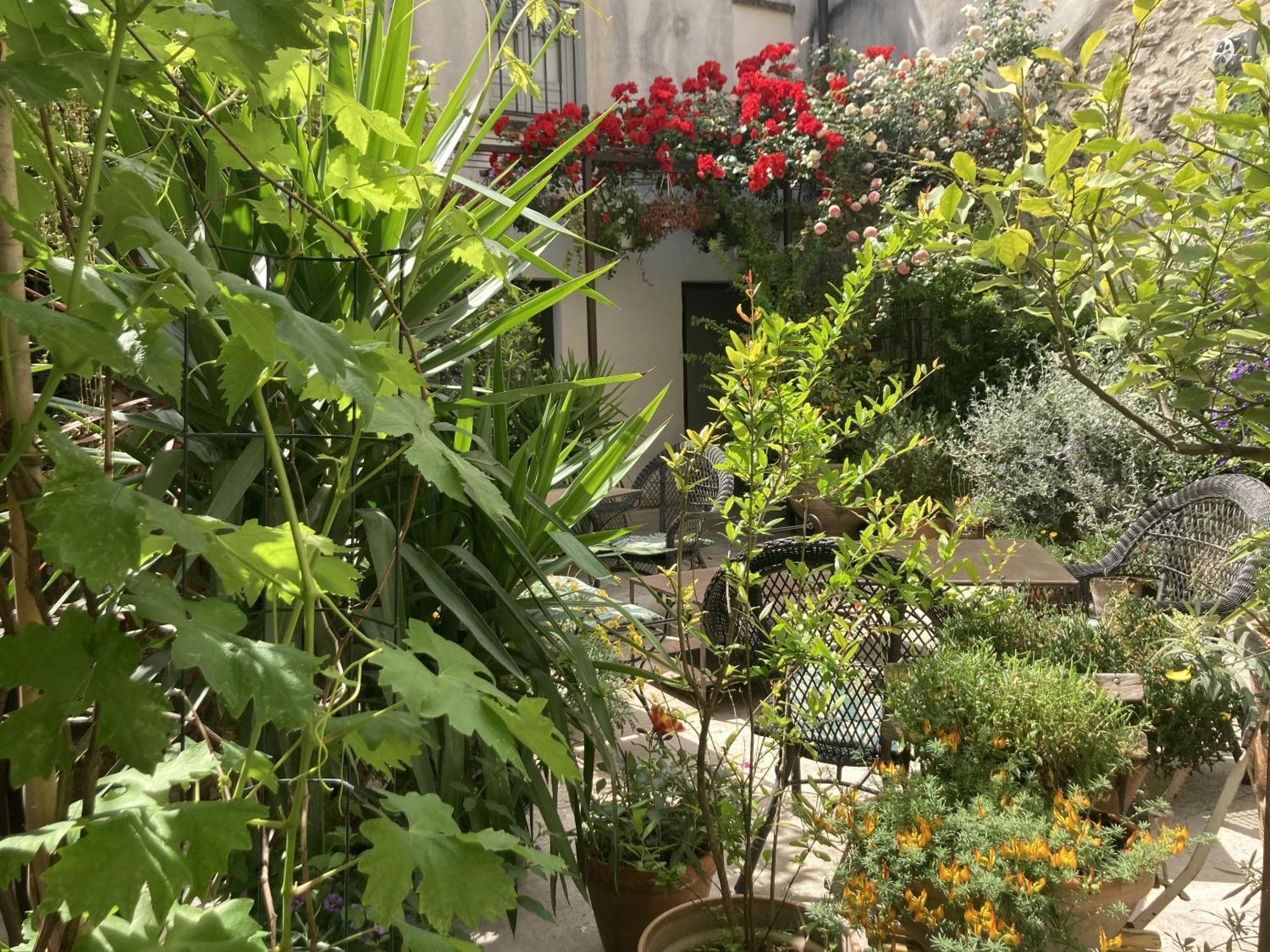 La Maison Des Augustins 4 Stars Spa Et Fitness Awinion Pokój zdjęcie
