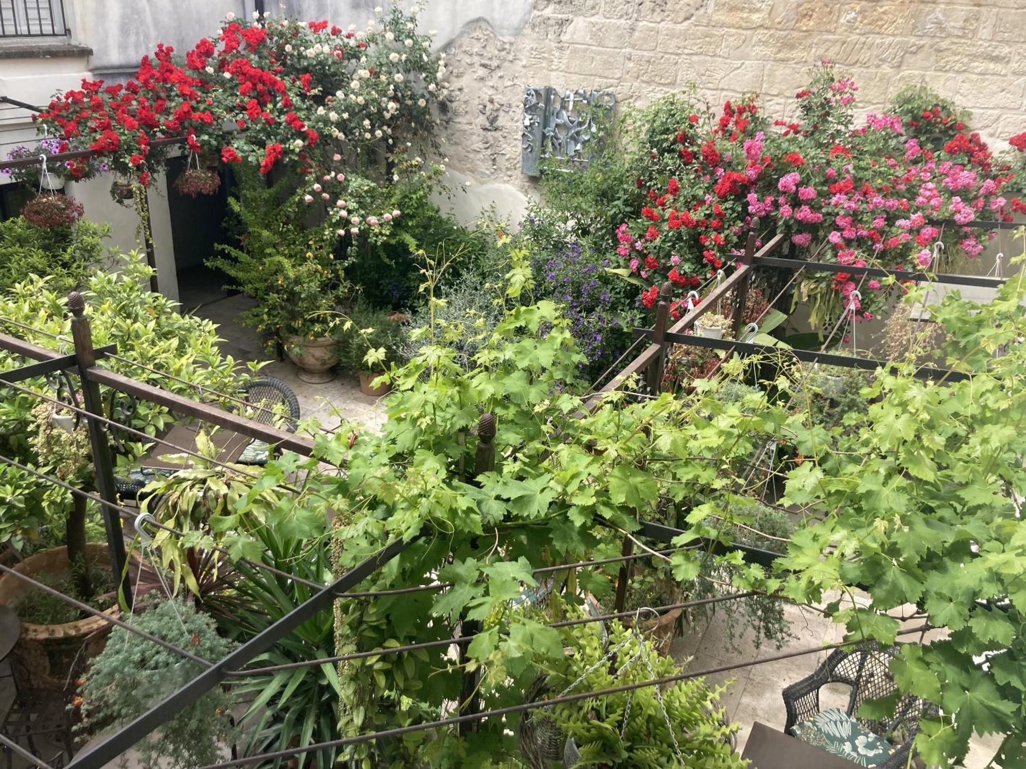 La Maison Des Augustins 4 Stars Spa Et Fitness Awinion Pokój zdjęcie